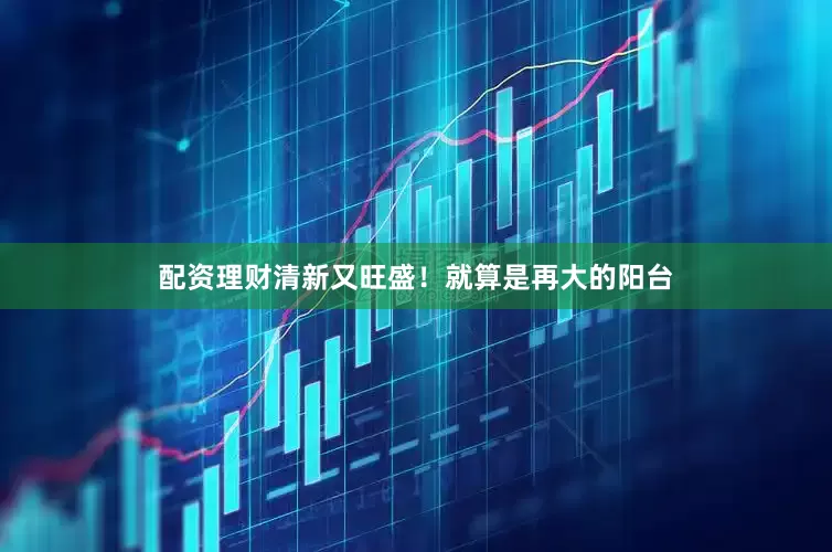 配资理财清新又旺盛！就算是再大的阳台