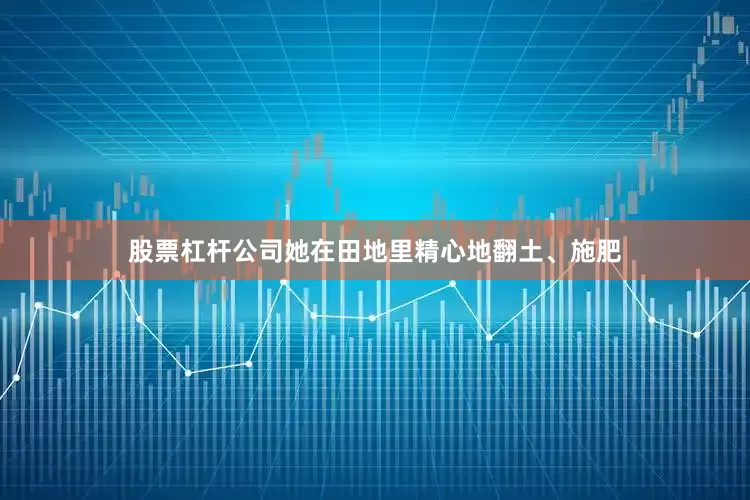 股票杠杆公司她在田地里精心地翻土、施肥