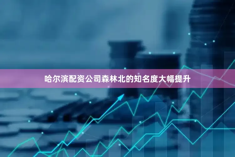 哈尔滨配资公司森林北的知名度大幅提升